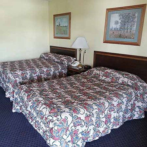 Red Roof Inn ردينغ، كاليفورنيا الغرفة الصورة